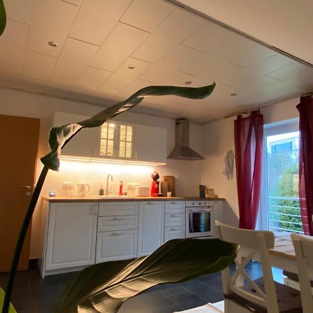 Moderne Ferienwohnung Seeblick Freudenberg  Eksteriør bilde